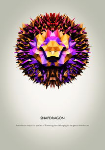 海报广告设计 视觉与信息的艺术融合